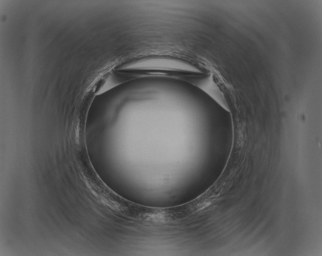 X0000082730068200702091848