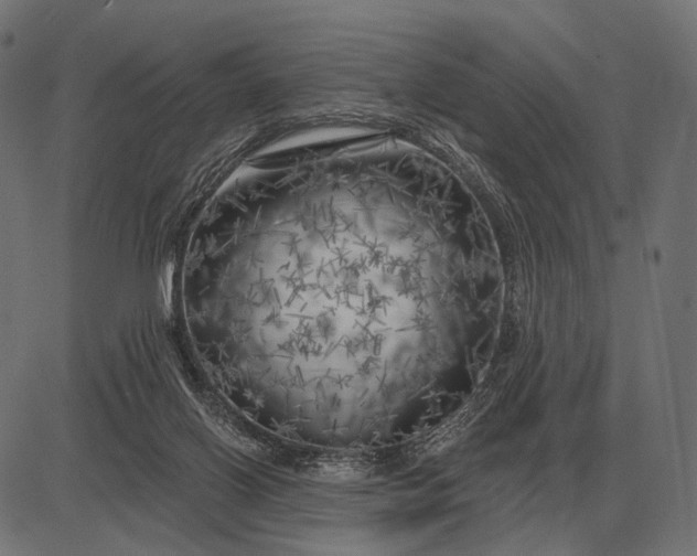 X0000082730070200702091848