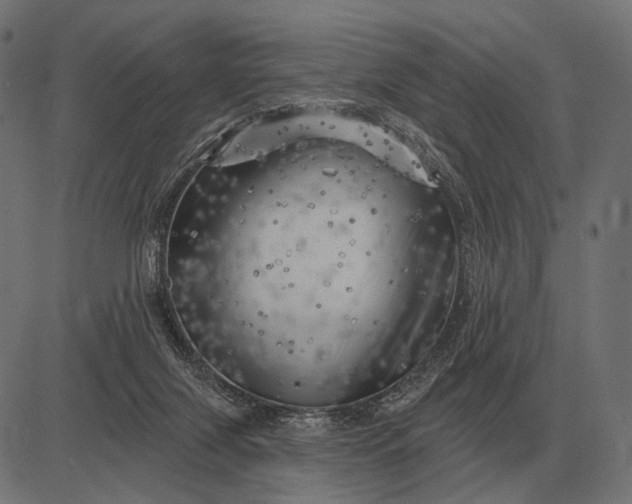 X0000082730071200702091848