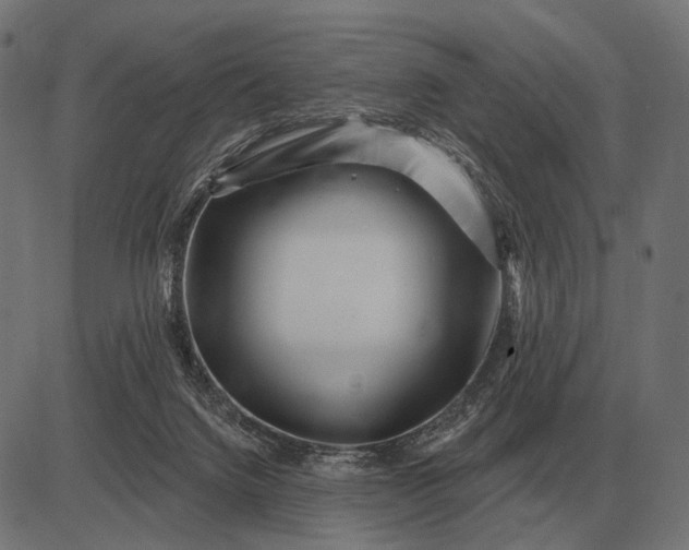 X0000082730072200702091848