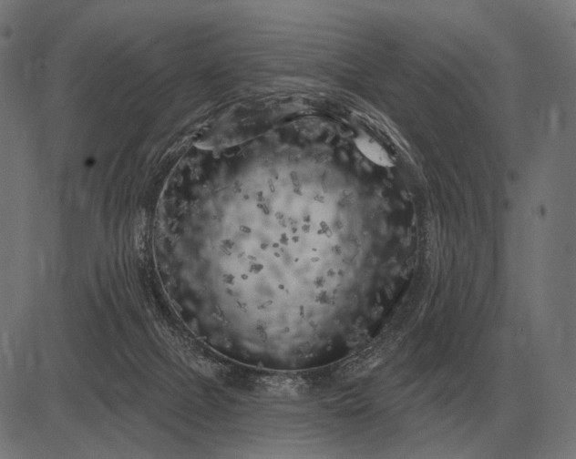 X0000082730073200702091848