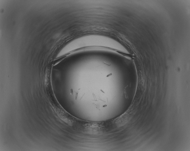 X0000082730074200702091848