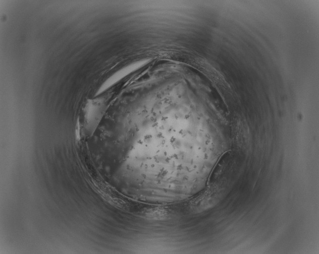 X0000082730075200702091848