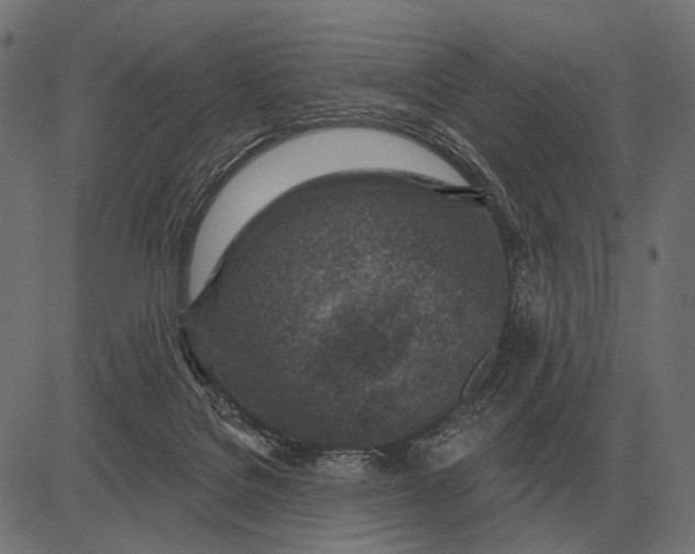 X0000082730076200702091848