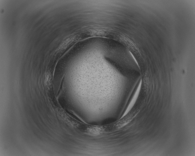 X0000082730079200702091848