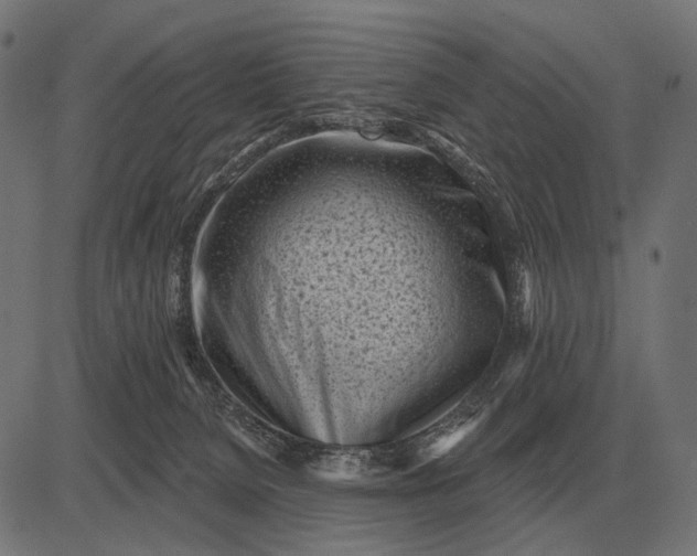 X0000082730080200702091848