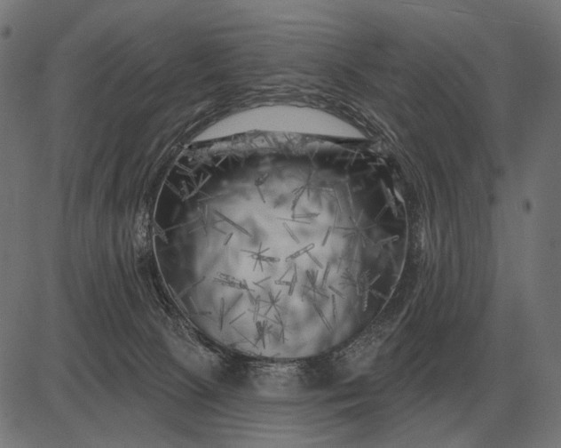 X0000082730081200702091848