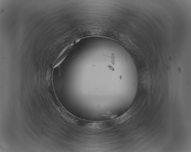 X0000082730082200702091848