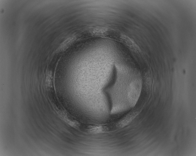 X0000082730083200702091848