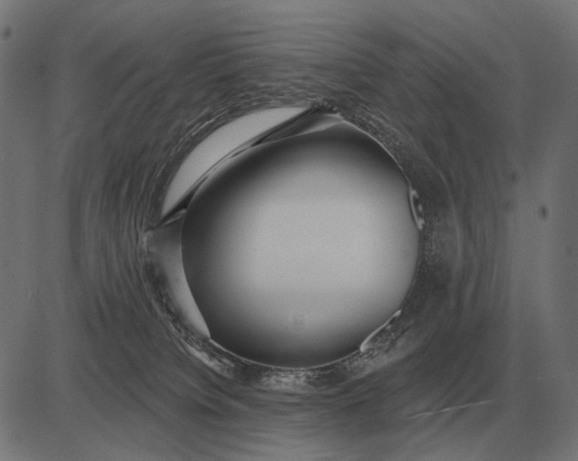 X0000082730084200702091848