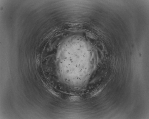 X0000082730085200702091848