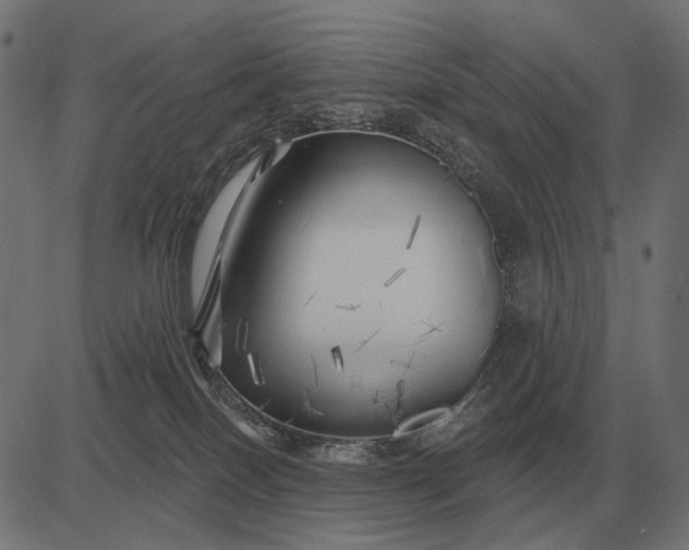 X0000082730086200702091848