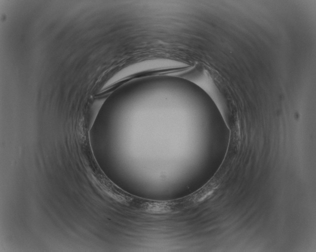 X0000082730088200702091848