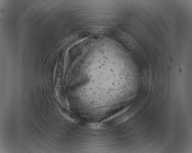 X0000082730089200702091848