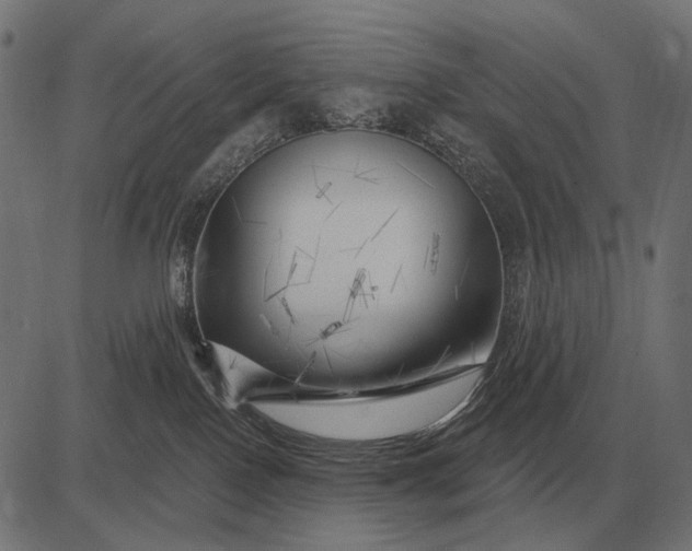 X0000082730090200702091848