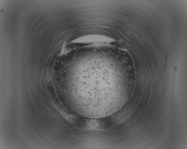 X0000082730091200702091848