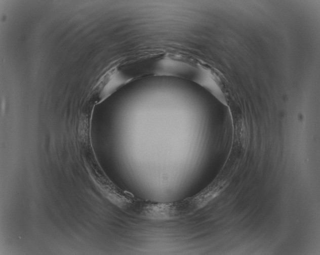 X0000082730092200702091848