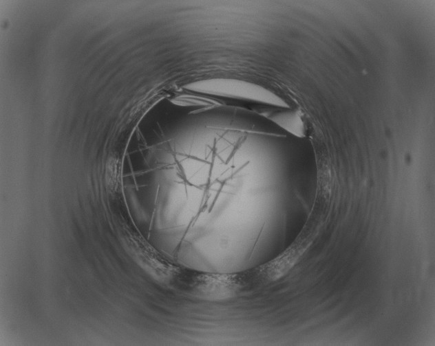 X0000082730093200702091848