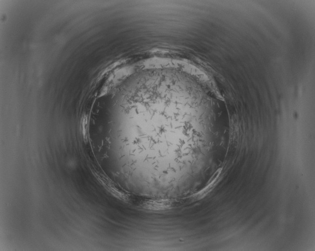 X0000082730094200702091848