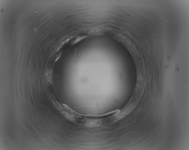 X0000082730096200702091848