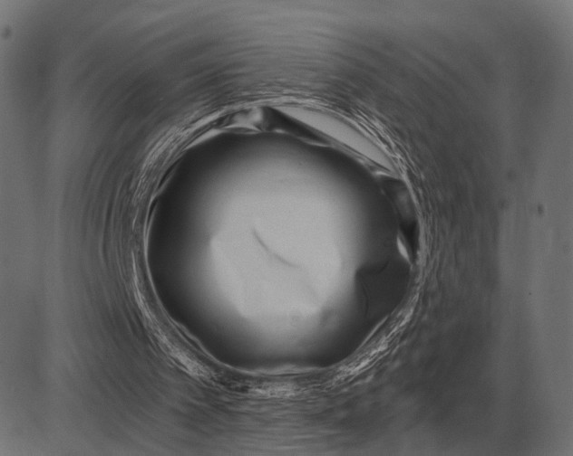 X0000082730097200702091848