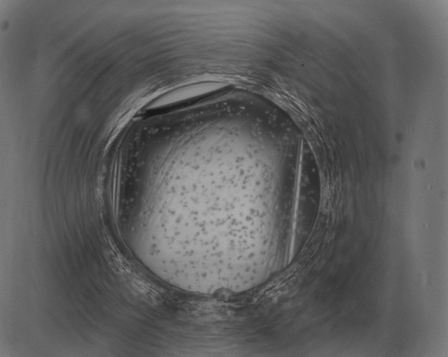 X0000082730098200702091848