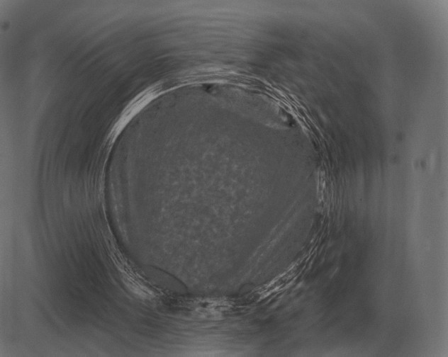 X0000082730099200702091848