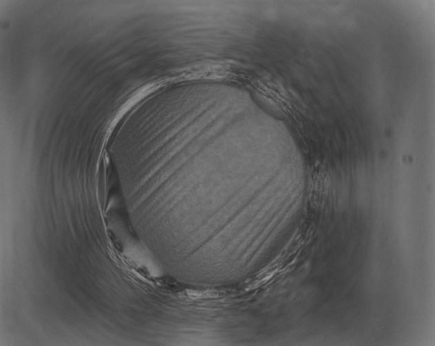 X0000082730100200702091848