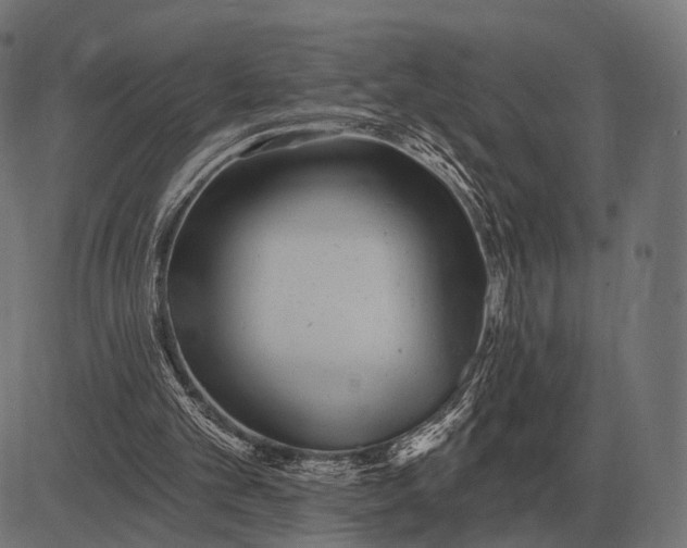 X0000082730101200702091848