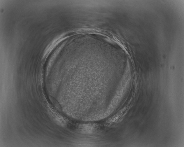 X0000082730103200702091847