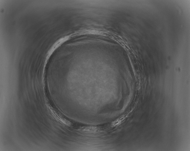 X0000082730104200702091847