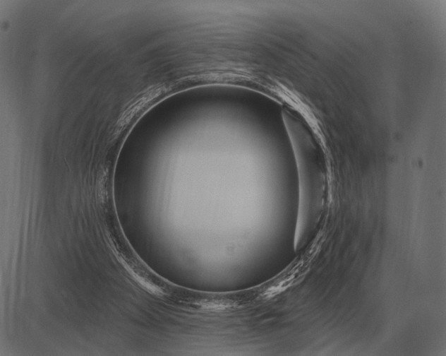 X0000082730105200702091847