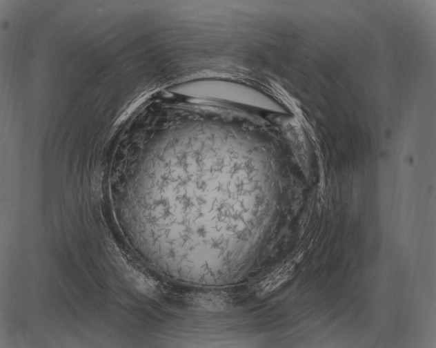 X0000082730106200702091847