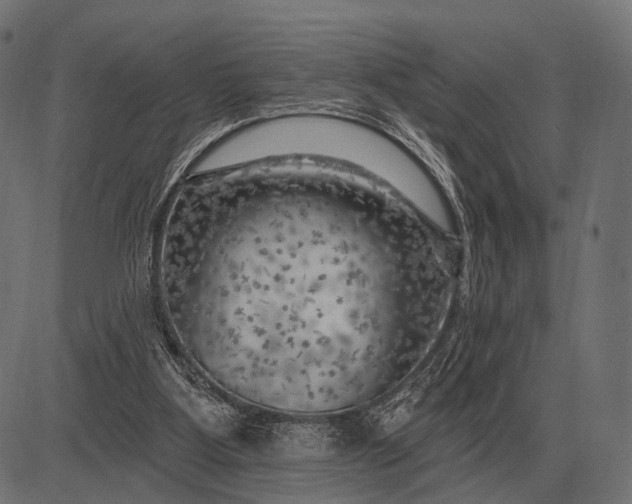 X0000082730107200702091847