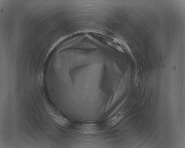 X0000082730108200702091847