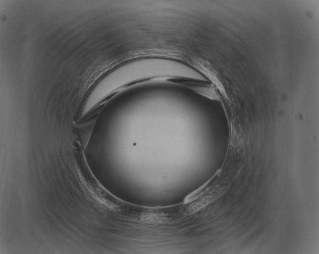 X0000082730109200702091847