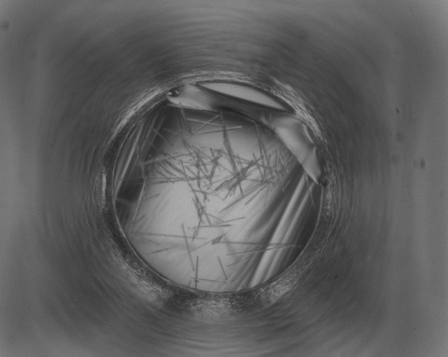 X0000082730110200702091847