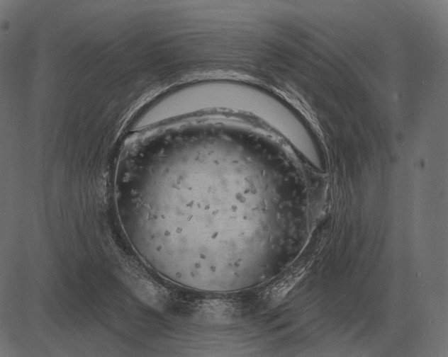 X0000082730111200702091847