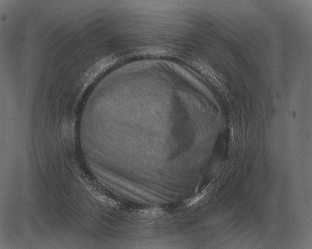 X0000082730112200702091847