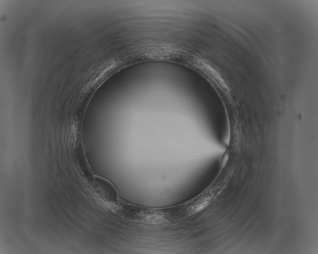 X0000082730113200702091847