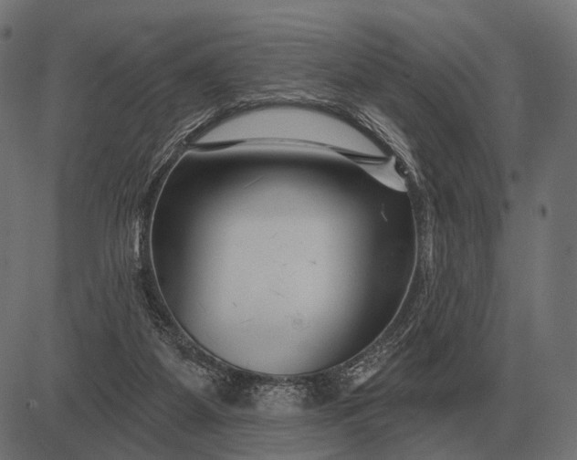 X0000082730115200702091847