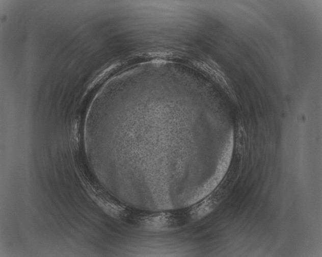 X0000082730116200702091847