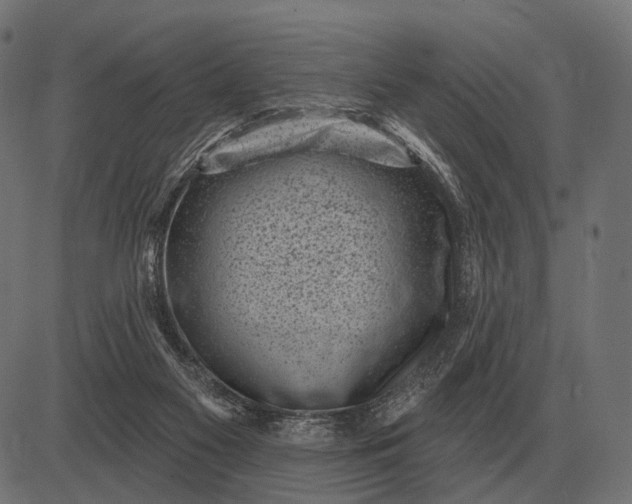 X0000082730117200702091847