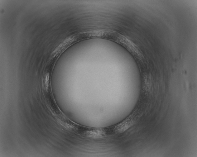 X0000082730118200702091847