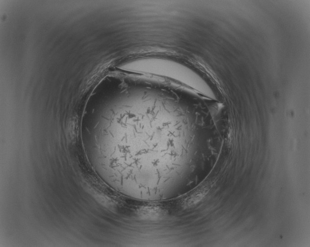 X0000082730119200702091847