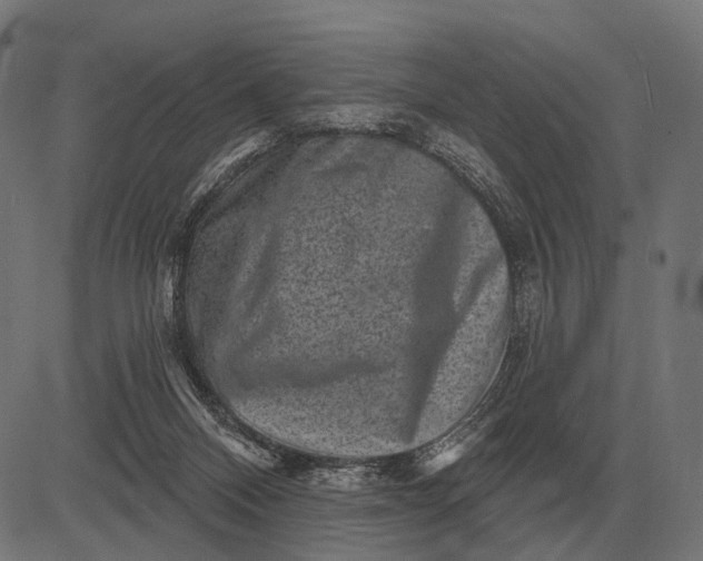 X0000082730120200702091847