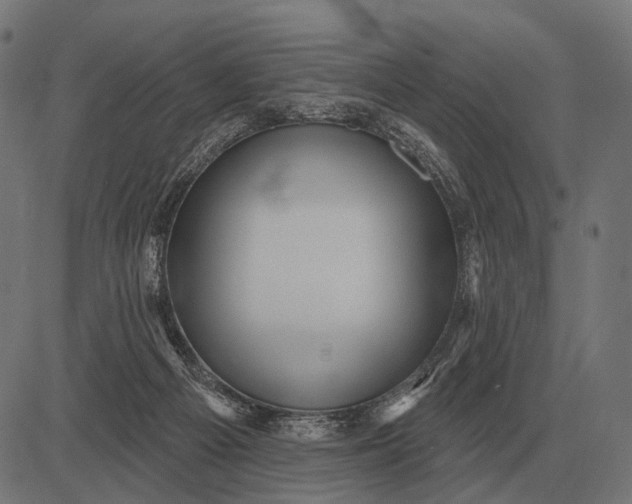 X0000082730121200702091847