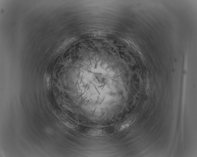 X0000082730123200702091847