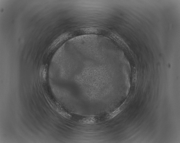 X0000082730124200702091847