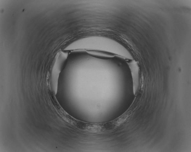 X0000082730125200702091847